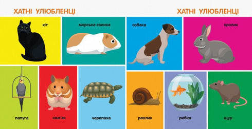 100 animales. Libros inteligentes