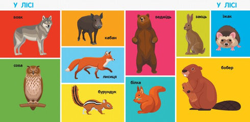 100 animales. Libros inteligentes