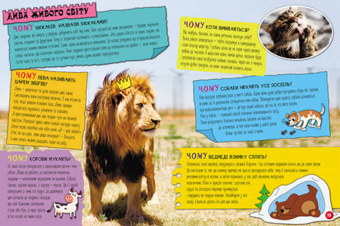 100 risposte alla domanda PERCHÉ?