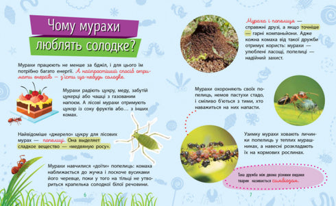 ¿Por qué eres tan lindo? Insectos