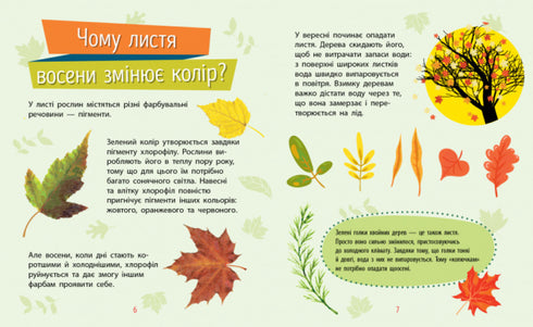 Pourquoi es-tu si mignon ? Plantes