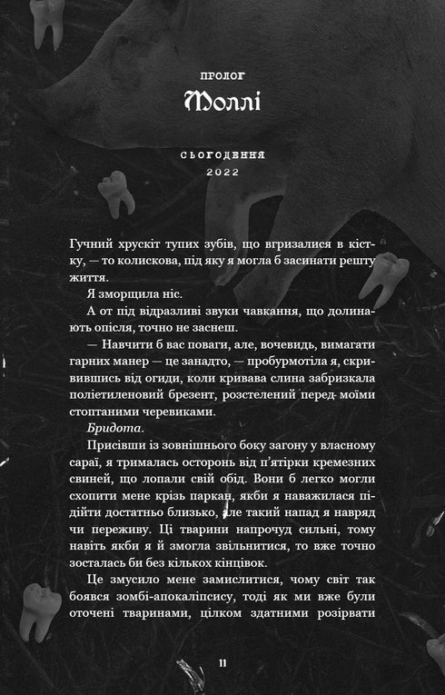 Dove è Molly? - 9786175483695