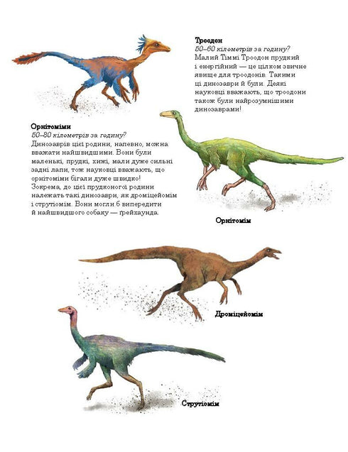 Dino-Freunde. Rennen im Sumpfwald - 9786170995322