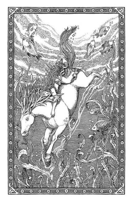 Animali fantastici e dove trovarli. Newt Scamandro