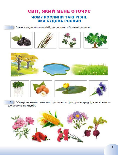 Я досліджую світ. 1 клас. Робочий зошит з інтегрованого курсу. Ч.2 НУШ