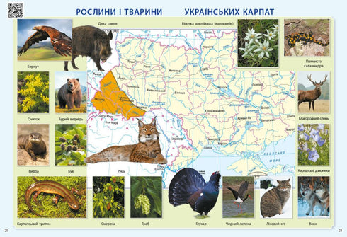 Exploro el mundo. 3er grado. Atlas - 9786170962454