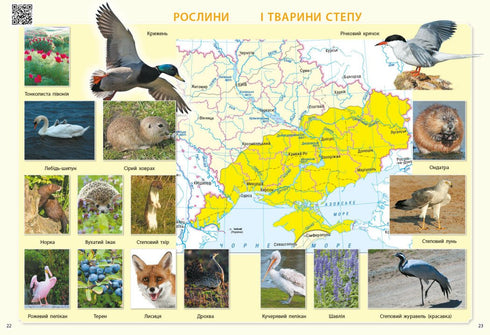 Exploro el mundo. 3er grado. Atlas - 9786170962454