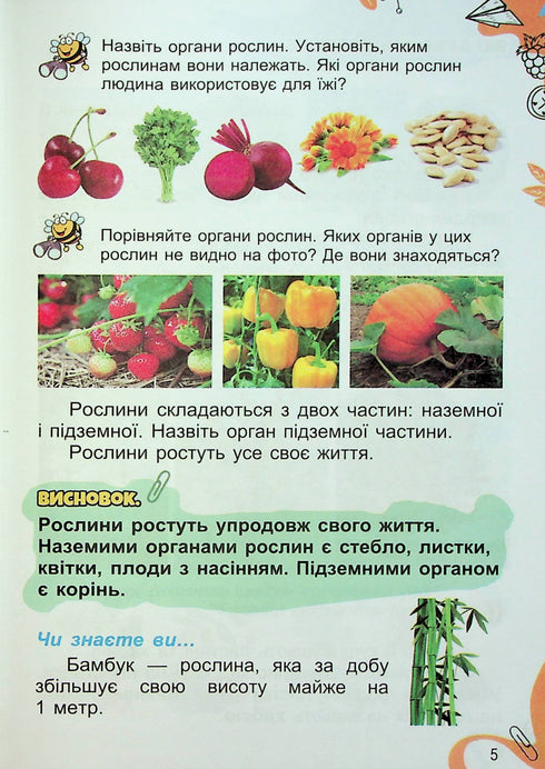 Я досліджую світ. Підручник. 1 клас. Частина 2