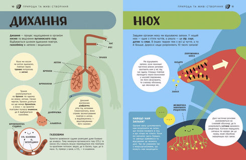 STEM Encyclopedia for Children. 100 Concepts of a Future Genius - 9786170992789