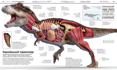 Encyclopedia of Knowledge