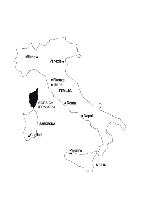 L'italien en 4 semaines. Cours intensif d'italien avec application audio électronique.