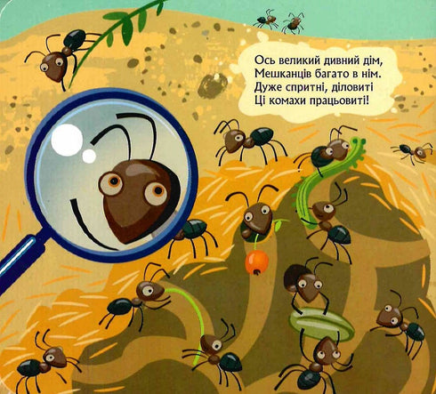 Qui s'est caché sous la terre