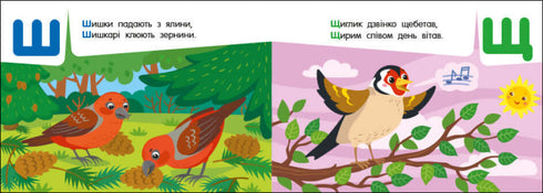 Alfabeto tascabile. Alfabeto nella foresta (fuori stampa)