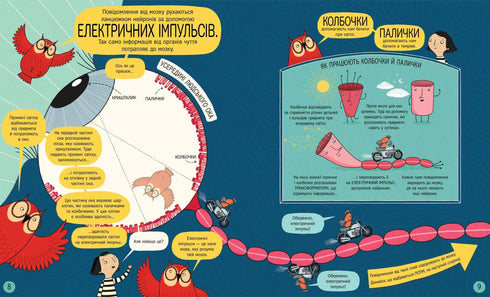 El libro sobre el cerebro y cómo funciona