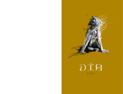 König Lear - 9786175852156