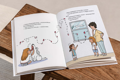 Un aereo delle scuse