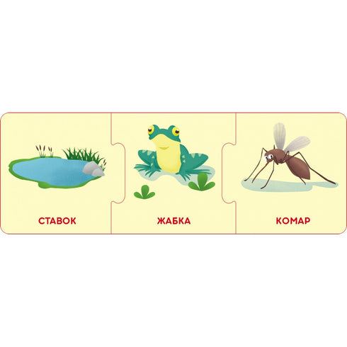 Catene logiche. Mondo animale. Chi vive dove e cosa mangia