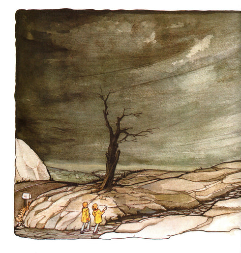 Libro mágico de anatomía