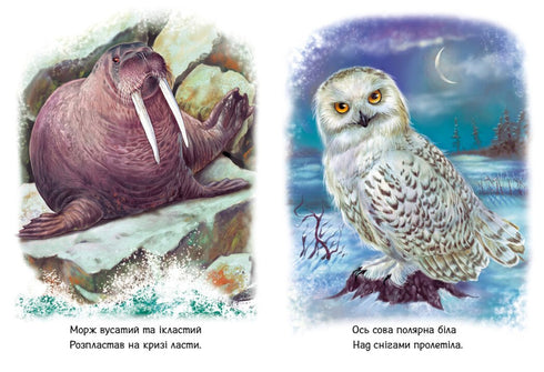 Bambini sugli animali. Gli animali del mondo