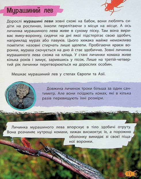 Minienciclopedia. Insectos y arañas