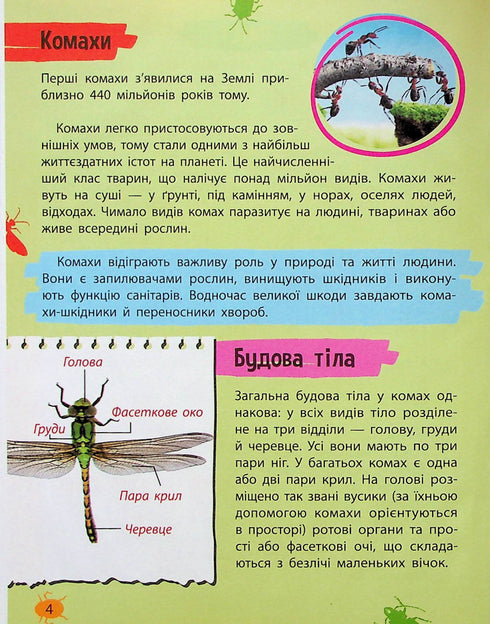 Minienciclopedia. Insectos y arañas