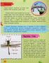 Minienciclopedia. Insectos y arañas