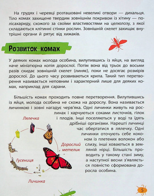 Minienciclopedia. Insectos y arañas