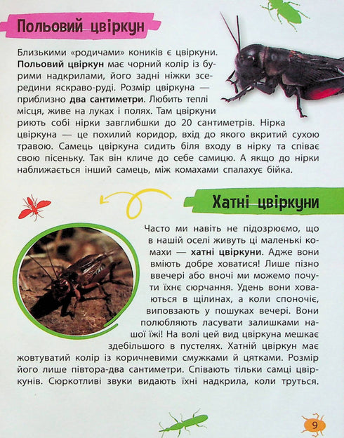 Minienciclopedia. Insectos y arañas