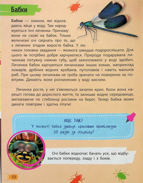 Minienciclopedia. Insectos y arañas