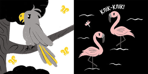 My contrast book. Animals