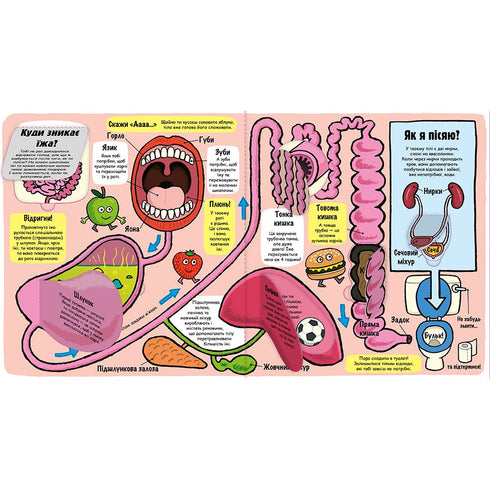 Il mio fantastico corpo. Piccoli esploratori