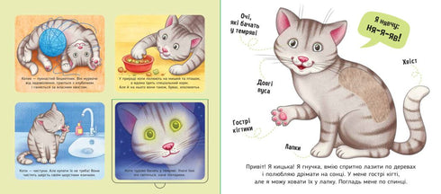 Mes favoris - 9789667511920