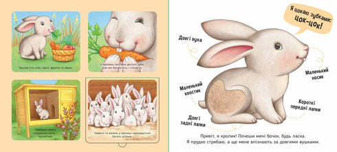 En la granja - 9789667511937