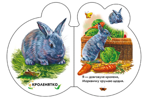 На подвір'ї