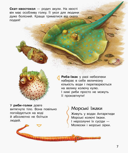 Oceani e mari - 9786170993489