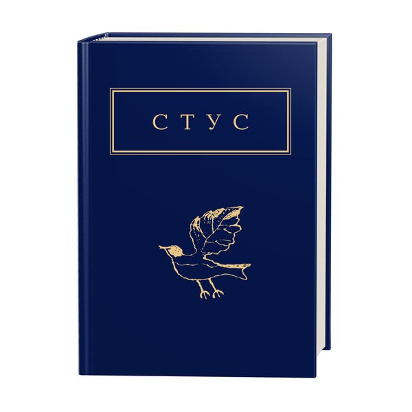 Palimpseste - 9786175852194