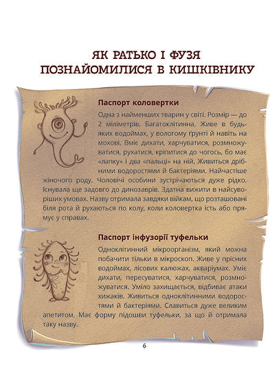 What at the end: where do the pupae disappear?