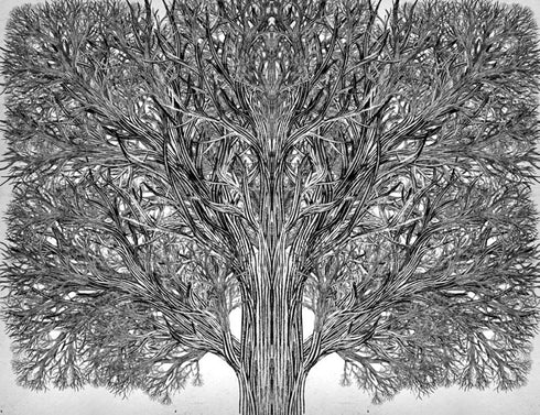 L'École du Bien et du Mal. Le Roi Unique et Véritable. Livre 6