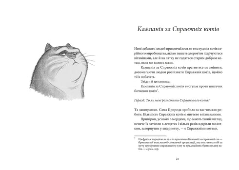 Un gato de verdad