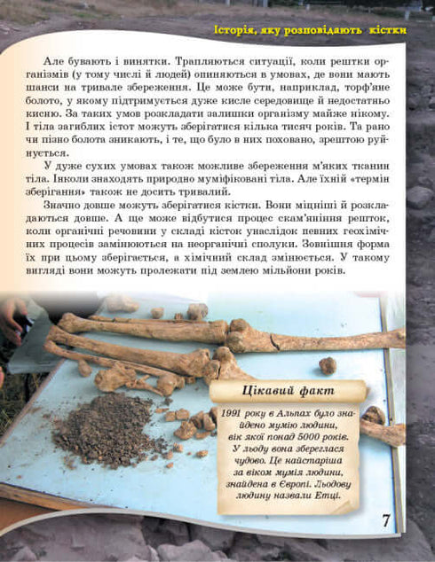 Від мавпи до людини