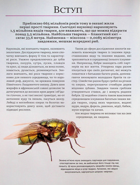 Велика книга тварин