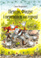 Петсон, Фіндус і переполох на городі