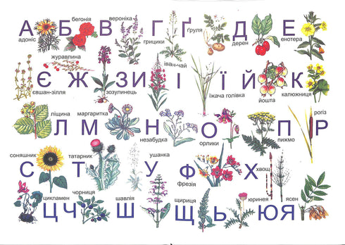 Abecedario. Libro de texto para 1er grado