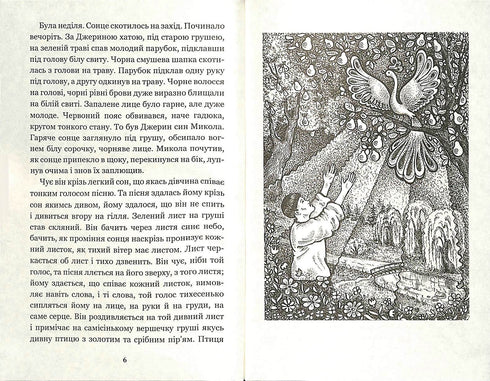 Mikola Dzeria: novela