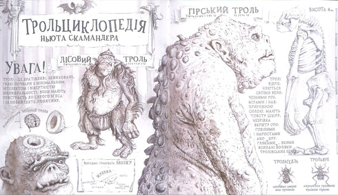 Harry Potter à l'école des sorciers. Grande édition illustrée. Tome 1 (édition ukrainienne)