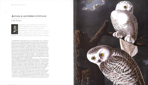 Harry Potter. Die Geschichte der Magie