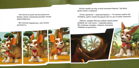 Conociendo al Buscador