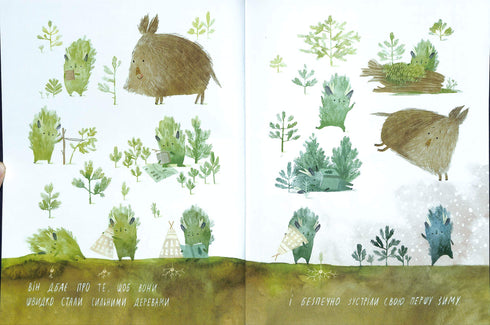 Compleanno dell'albero di Natale