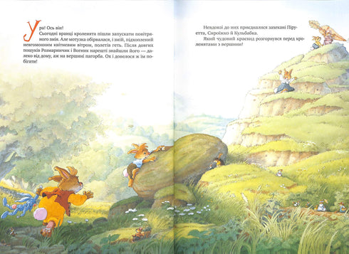 Grand livre des histoires de lapins (couverture d'été)