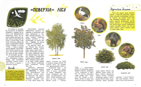 El mundo y sus misterios: La vida del bosque